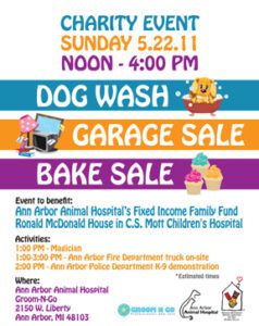 Charity Dog Wash & Garage Sale