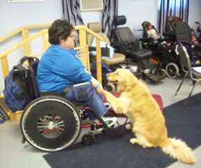 Ann Arbor Animal Hospital | Assistance Dogs of America