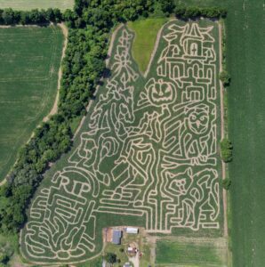 Coleman's Corn maze for 2014. (Click for larger view)