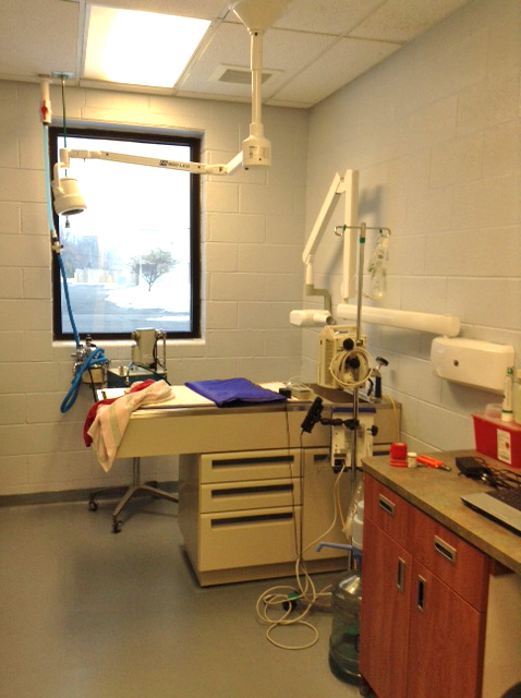 Our new dental suite!