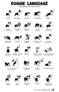 Doggie Language