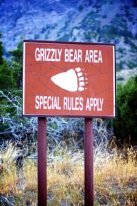 grizzly-bear-warning-sign