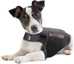 thundershirt-dog