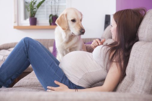 Pregnant Girl with a dog