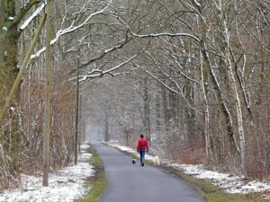 person in red jacket walks two dogs down wintery path