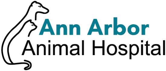 Ann Arbor Ah Logo New