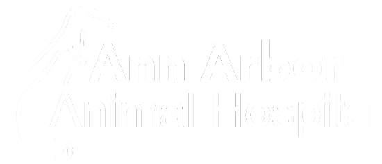 Ann Arbor Ah Logo White