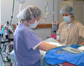 what to expect on surgery day