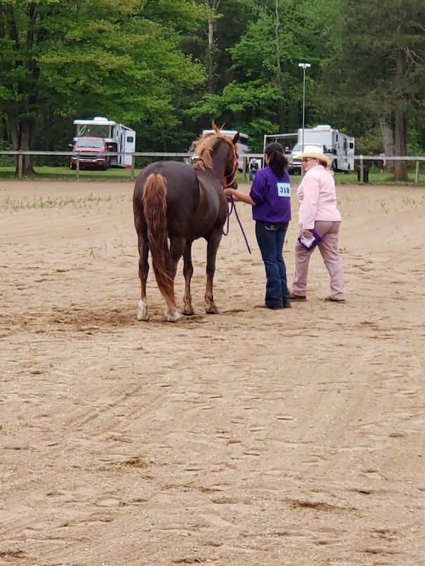 Jackson County 4-H event