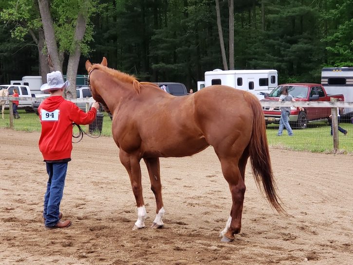 the jackson county 4-H program depends on volunteers for their clubs and events