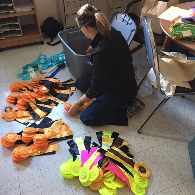 preparing award ribbons for a 4-H event