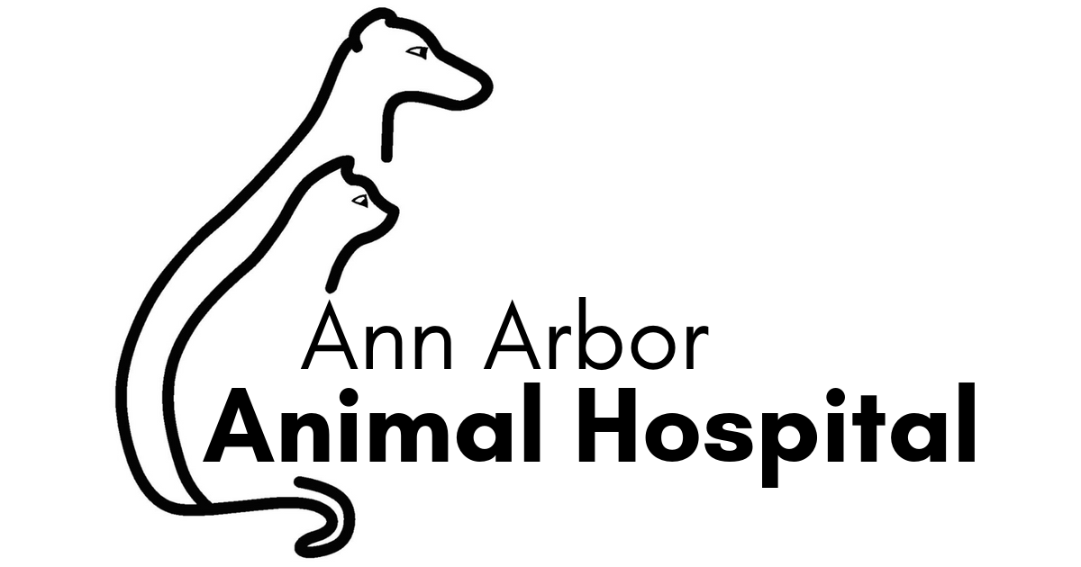 Ann Arbor Animal Hospital | Veterinarian in Ann Arbor, Michigan