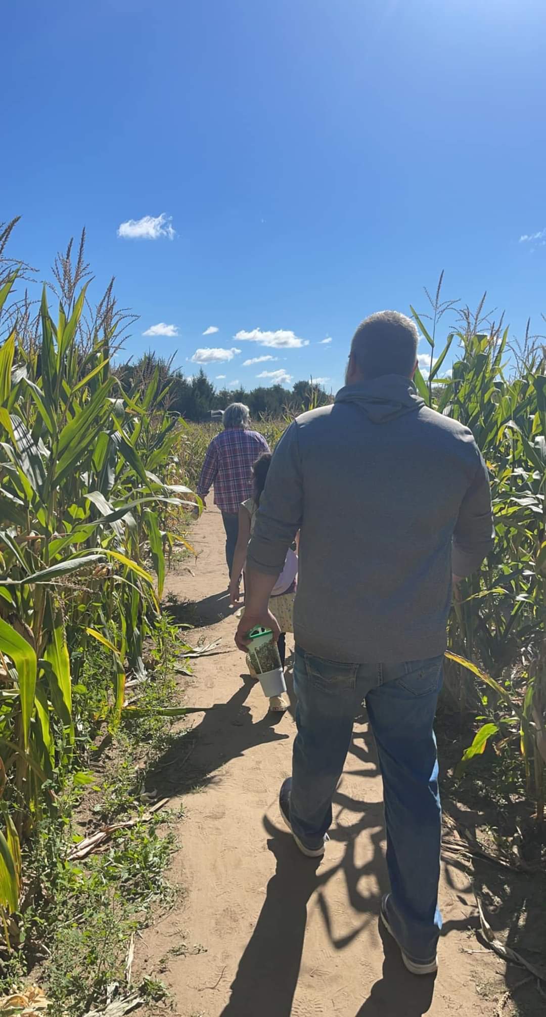 Corn Maze Path