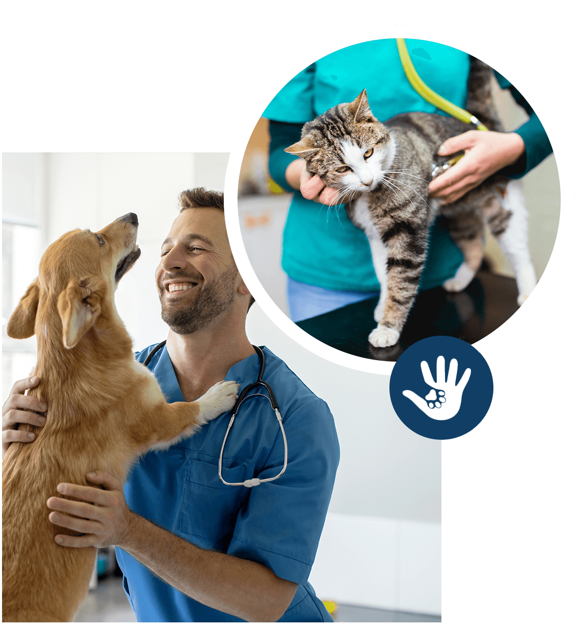 Veterinary Staff With Cat Dog Pets
