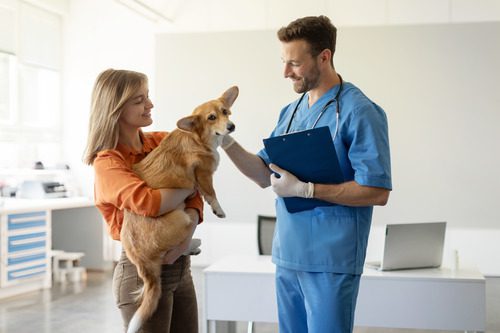 female-owner-holding-corgi-dog-while-talking-to-male-vet-at-clinic