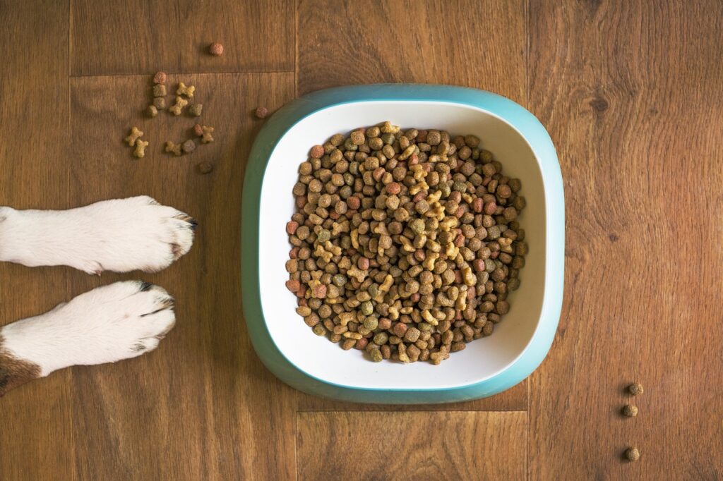 Dog Food 5168940 1280