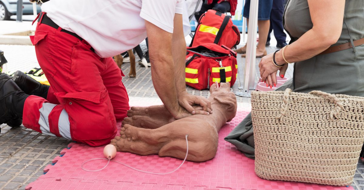 emergency responder demonstrating canine CPR on a dog mannequin